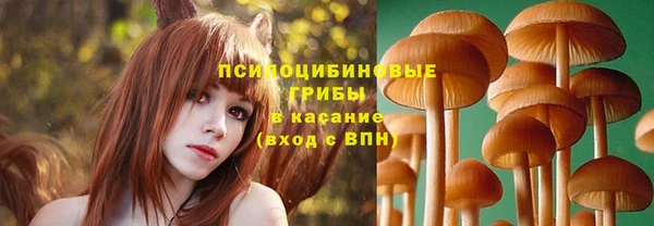 ECSTASY Балахна
