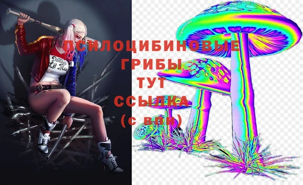 Альфа ПВП Баксан