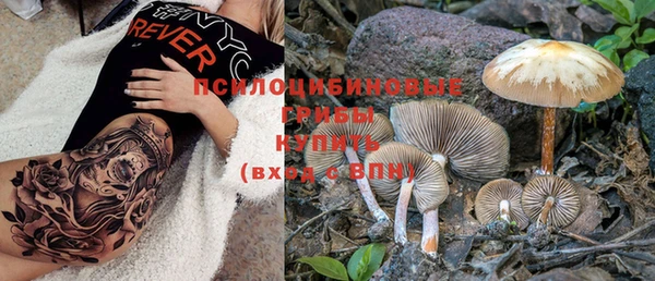 Альфа ПВП Баксан
